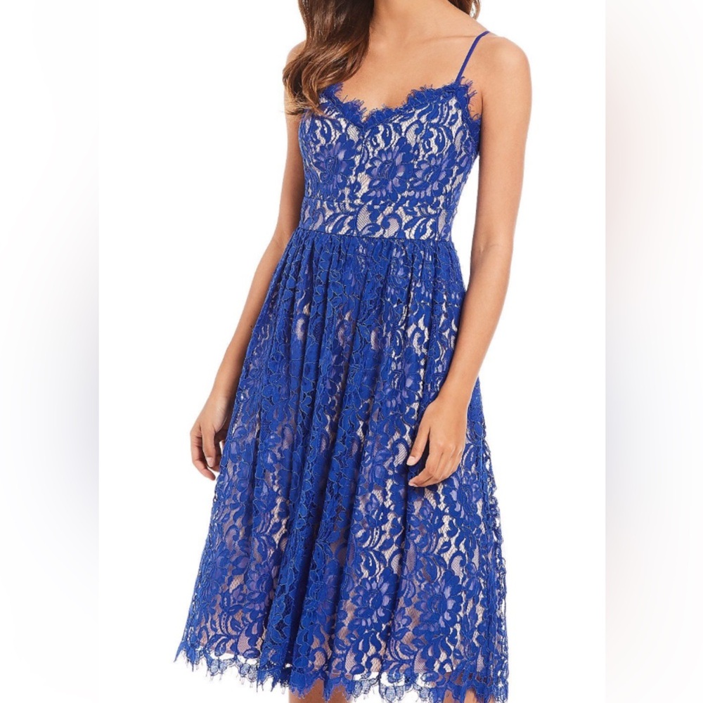 Eliza J Royal Blue Lace Midi Dress size 6